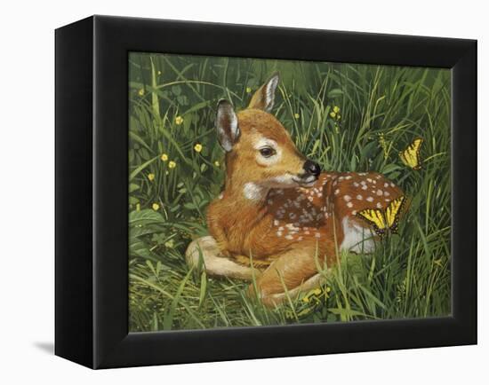 Fawn-William Vanderdasson-Framed Premier Image Canvas