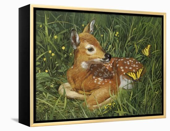 Fawn-William Vanderdasson-Framed Premier Image Canvas