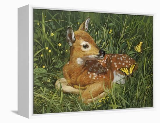 Fawn-William Vanderdasson-Framed Premier Image Canvas