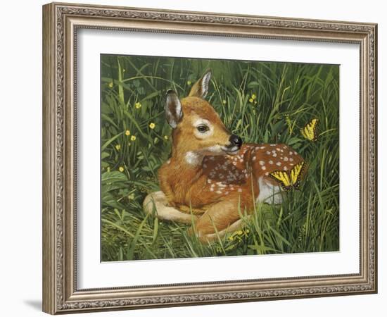 Fawn-William Vanderdasson-Framed Giclee Print