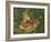 Fawn-William Vanderdasson-Framed Giclee Print