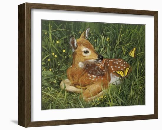 Fawn-William Vanderdasson-Framed Giclee Print