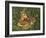 Fawn-William Vanderdasson-Framed Giclee Print