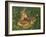 Fawn-William Vanderdasson-Framed Giclee Print