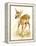 Fawn-Peggy Harris-Framed Premier Image Canvas