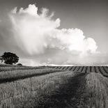 Large White Cloud Near Bilsington, Kent, 1981.-Fay Godwin-Giclee Print