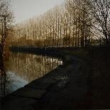 Trees Growing Along Canal in Bradford-Fay Godwin-Giclee Print