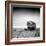 FE188-Craig Roberts-Framed Photographic Print