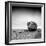 FE188-Craig Roberts-Framed Photographic Print