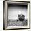 FE188-Craig Roberts-Framed Photographic Print