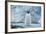 Fearless Adelie Penguin-DLILLC-Framed Photographic Print