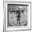 Fearless Girl Wall Street-null-Framed Photographic Print