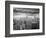 Fearless Passion-Thomas Barbey-Framed Giclee Print