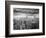 Fearless Passion-Thomas Barbey-Framed Giclee Print