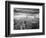 Fearless Passion-Thomas Barbey-Framed Giclee Print