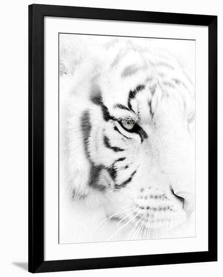 Fearless-Wink Gaines-Framed Giclee Print