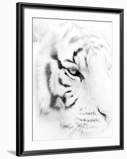 Fearless-Wink Gaines-Framed Giclee Print