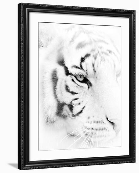 Fearless-Wink Gaines-Framed Giclee Print