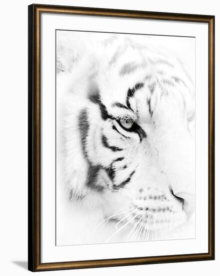 Fearless-Wink Gaines-Framed Giclee Print