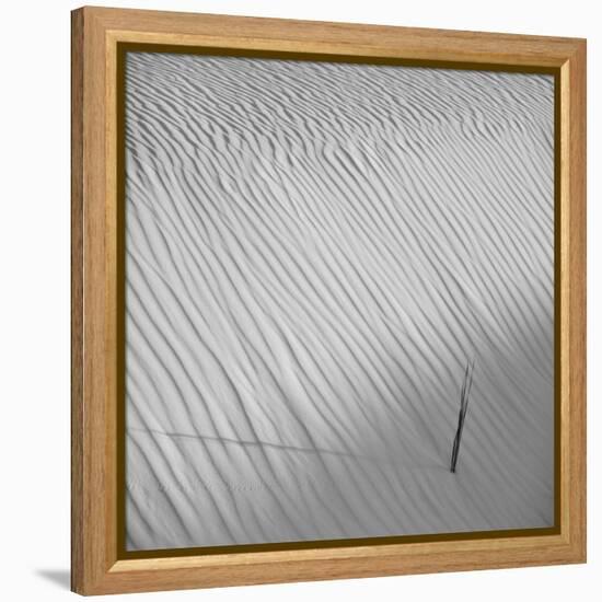 Fearless-Philippe Sainte-Laudy-Framed Premier Image Canvas