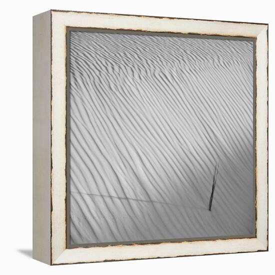 Fearless-Philippe Sainte-Laudy-Framed Premier Image Canvas