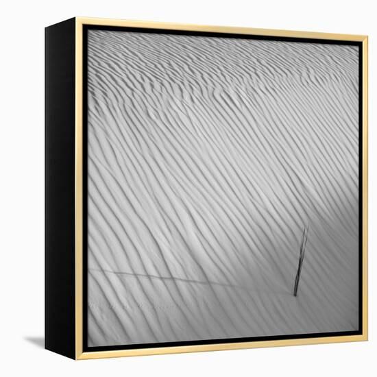 Fearless-Philippe Sainte-Laudy-Framed Premier Image Canvas