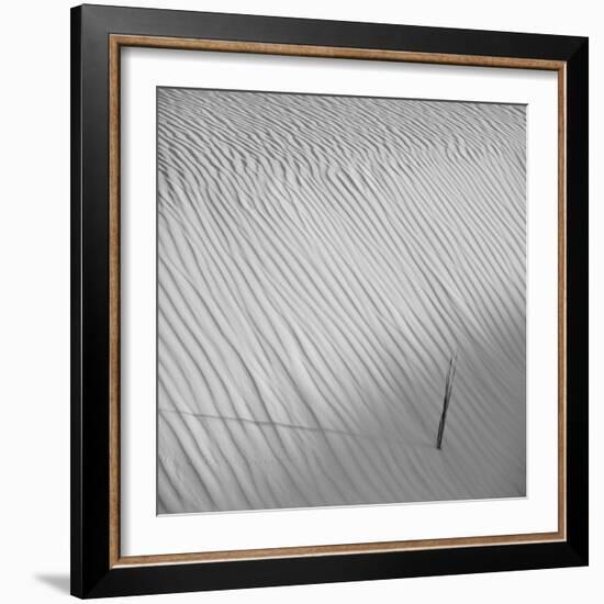 Fearless-Philippe Sainte-Laudy-Framed Photographic Print