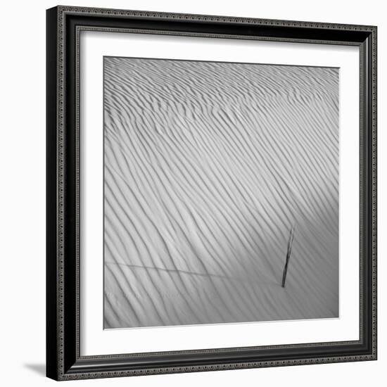 Fearless-Philippe Sainte-Laudy-Framed Photographic Print