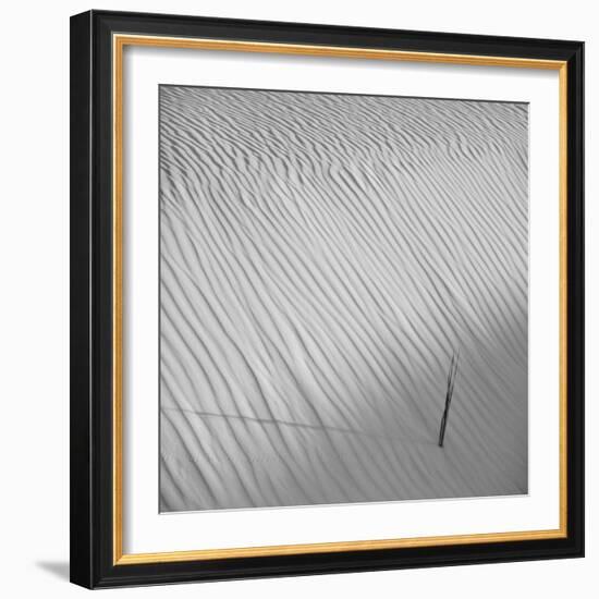 Fearless-Philippe Sainte-Laudy-Framed Photographic Print