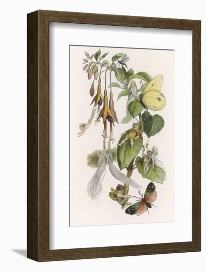 Feasting and Fun Among the Fuchsias, Fairies and Elves are Visited by Butterflies-Richard Doyle-Framed Photographic Print