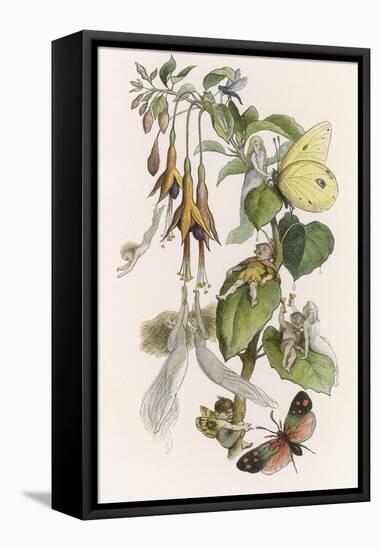 Feasting and Fun Among the Fuchsias, Fairies and Elves are Visited by Butterflies-Richard Doyle-Framed Premier Image Canvas