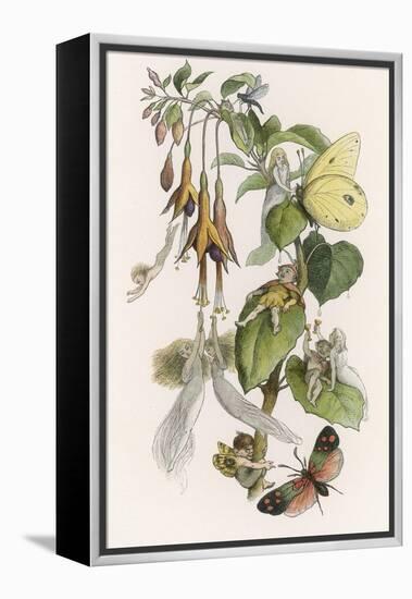 Feasting and Fun Among the Fuchsias, Fairies and Elves are Visited by Butterflies-Richard Doyle-Framed Premier Image Canvas