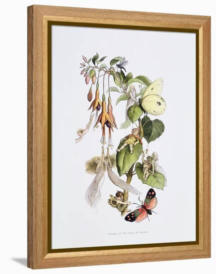 Feasting and Fun Among the Fuschias-Richard Doyle-Framed Premier Image Canvas