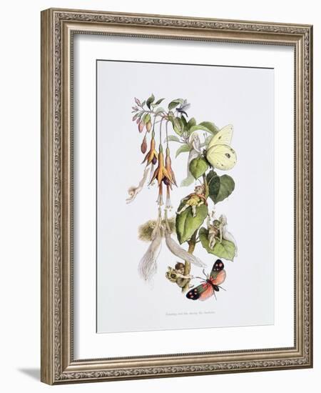 Feasting and Fun Among the Fuschias-Richard Doyle-Framed Giclee Print