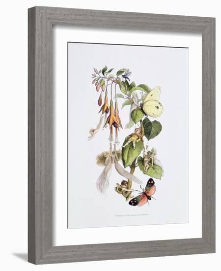 Feasting and Fun Among the Fuschias-Richard Doyle-Framed Giclee Print