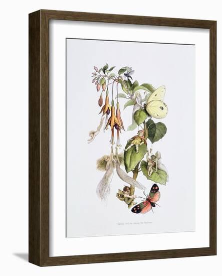 Feasting and Fun Among the Fuschias-Richard Doyle-Framed Giclee Print