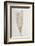 Feather_002-1x Studio III-Framed Photographic Print