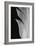 Feather_005-Pictufy Studio III-Framed Giclee Print