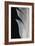 Feather_005-Pictufy Studio III-Framed Giclee Print