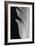 Feather_005-Pictufy Studio III-Framed Giclee Print