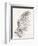 Feather 1 Light-Pernille Folcarelli-Framed Art Print