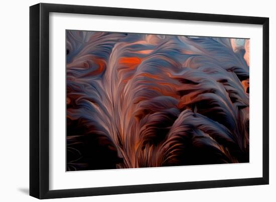 Feather, 2021, (digital)-Scott J. Davis-Framed Giclee Print