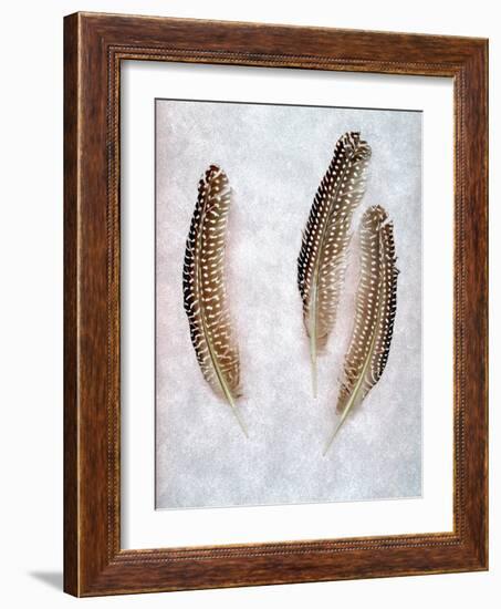 Feather #2-Alan Blaustein-Framed Photographic Print