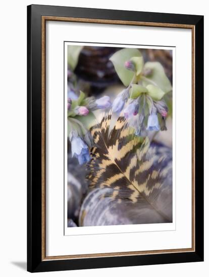 Feather and Flowers-Donald Paulson-Framed Giclee Print