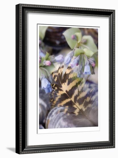 Feather and Flowers-Donald Paulson-Framed Giclee Print