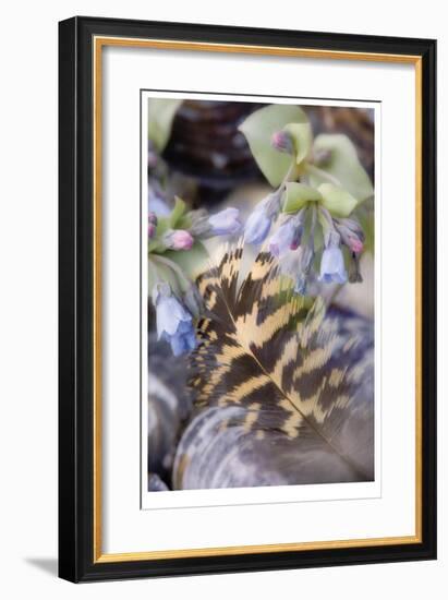 Feather and Flowers-Donald Paulson-Framed Giclee Print