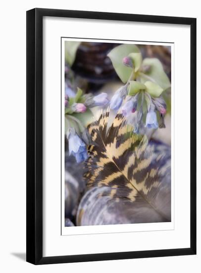 Feather and Flowers-Donald Paulson-Framed Giclee Print