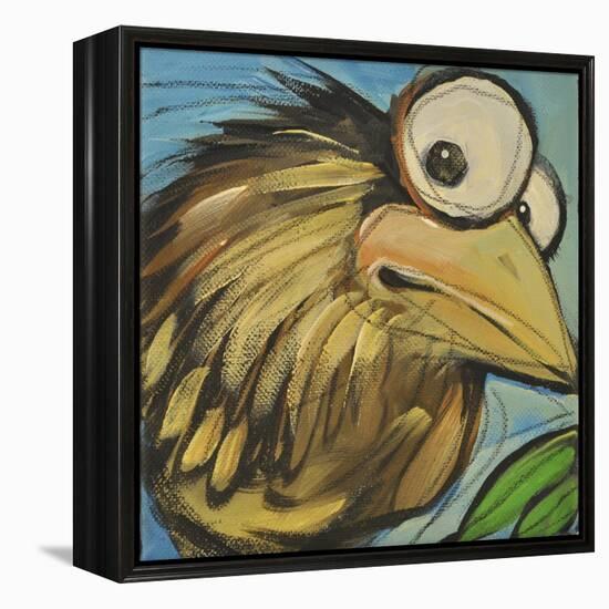 Feather Bird 24-Tim Nyberg-Framed Premier Image Canvas