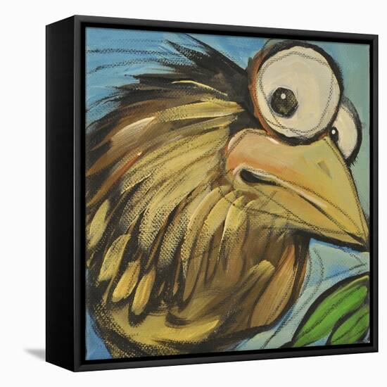 Feather Bird 24-Tim Nyberg-Framed Premier Image Canvas