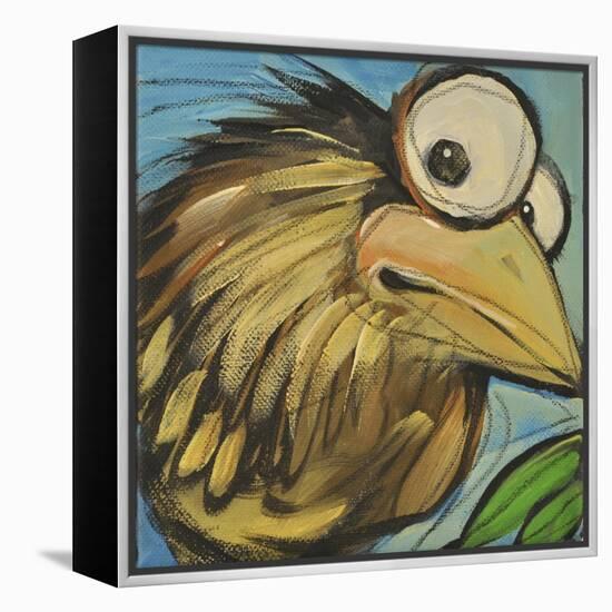 Feather Bird 24-Tim Nyberg-Framed Premier Image Canvas